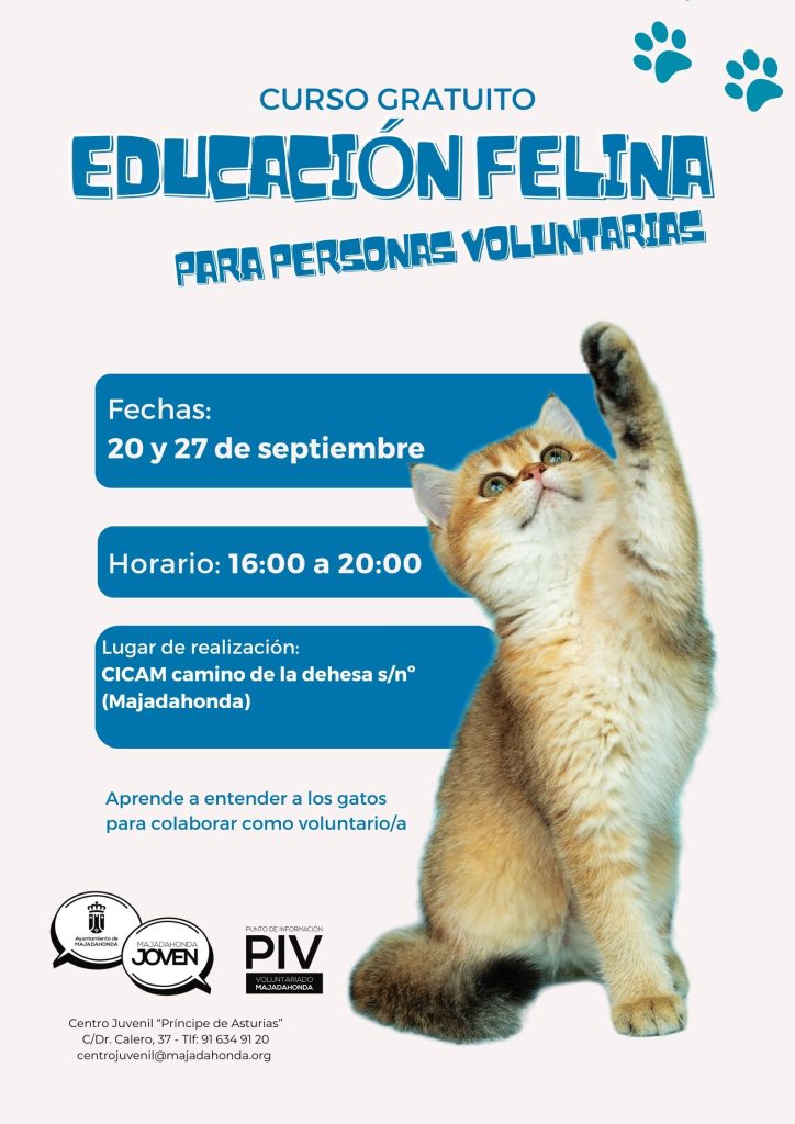 CURSO EDUCACIÓN FELINA PARA PERSONAS VOLUNTARIAS